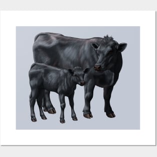 Black Angus Cow and Cute Calf Posters and Art